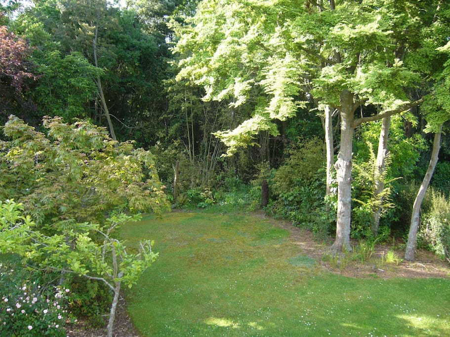 View from twin room