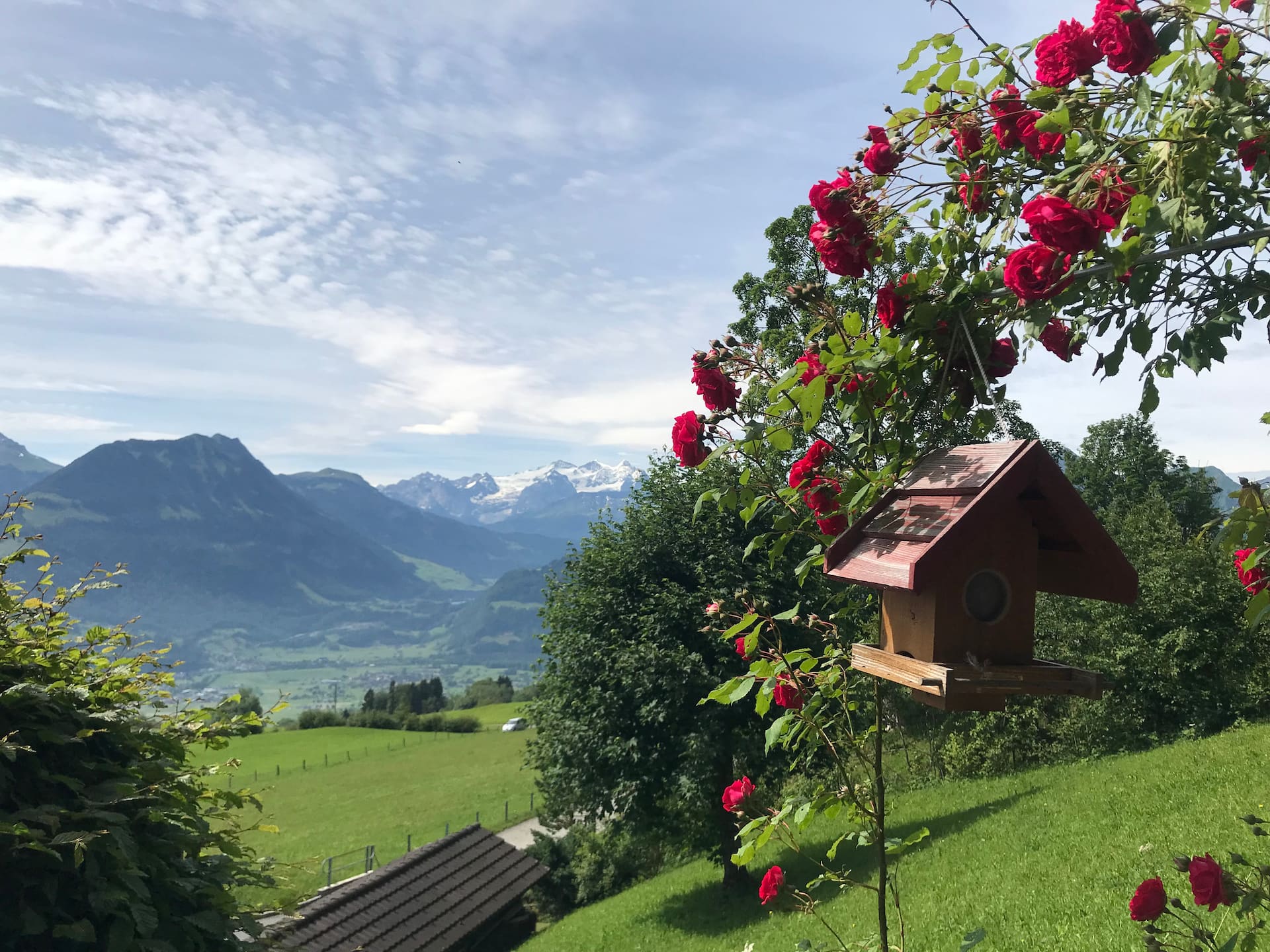 Visit Lucerne + Interlaken, enjoy view + coziness