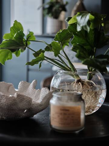 Beautiful Apartment on Muizenberg Beachfront gallery image 4