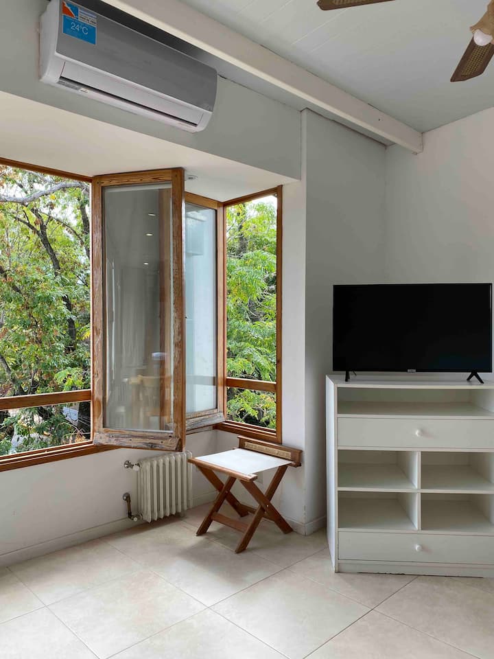 Квартира-лофт с 1 спальней в San Isidro