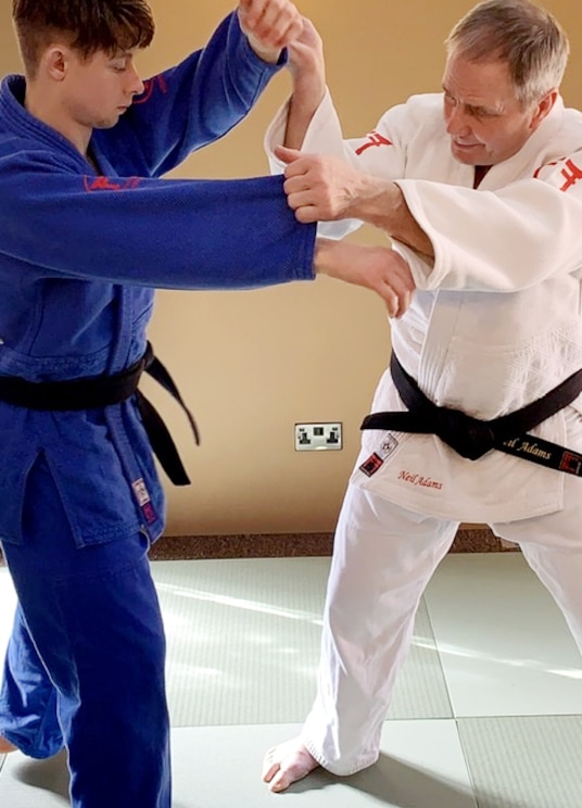 Mostrar imagem fornecida pelo anfitrião em ecrã inteiro