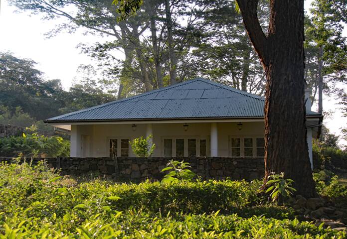 The Cottage, Koslanda