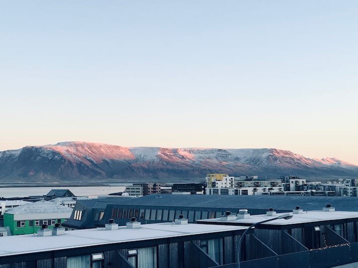 Reykjavík Vacation Rentals & Homes Iceland Airbnb