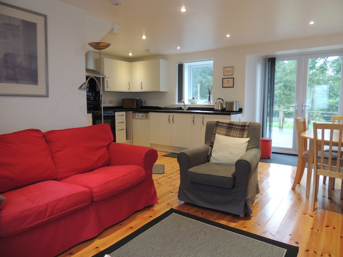 An open-plan living area is presented, featuring a red sofa and a grey armchair on a textured rug. A wooden dining table sits nearby, and a well-equipped kitchen is visible, with light streaming in from large windows and patio doors leading to an outdoor space.