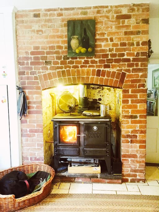 The Esse stove in the kitchen. Great for cooking on as well as keeping you toasty in the colder months (Otter the dog is optional!)