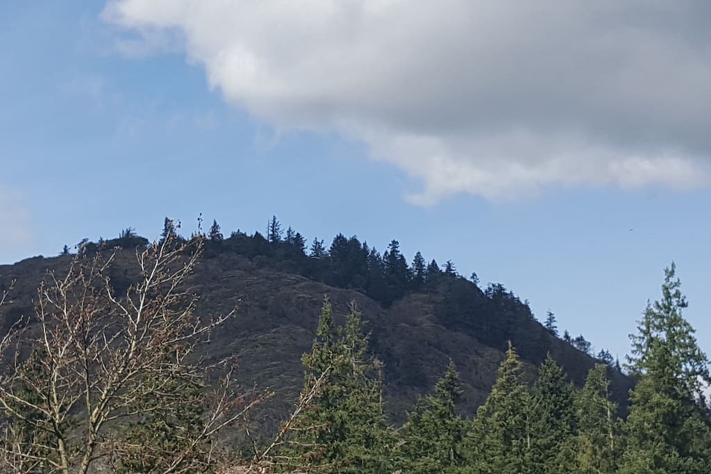 Beautiful Bear Mountain