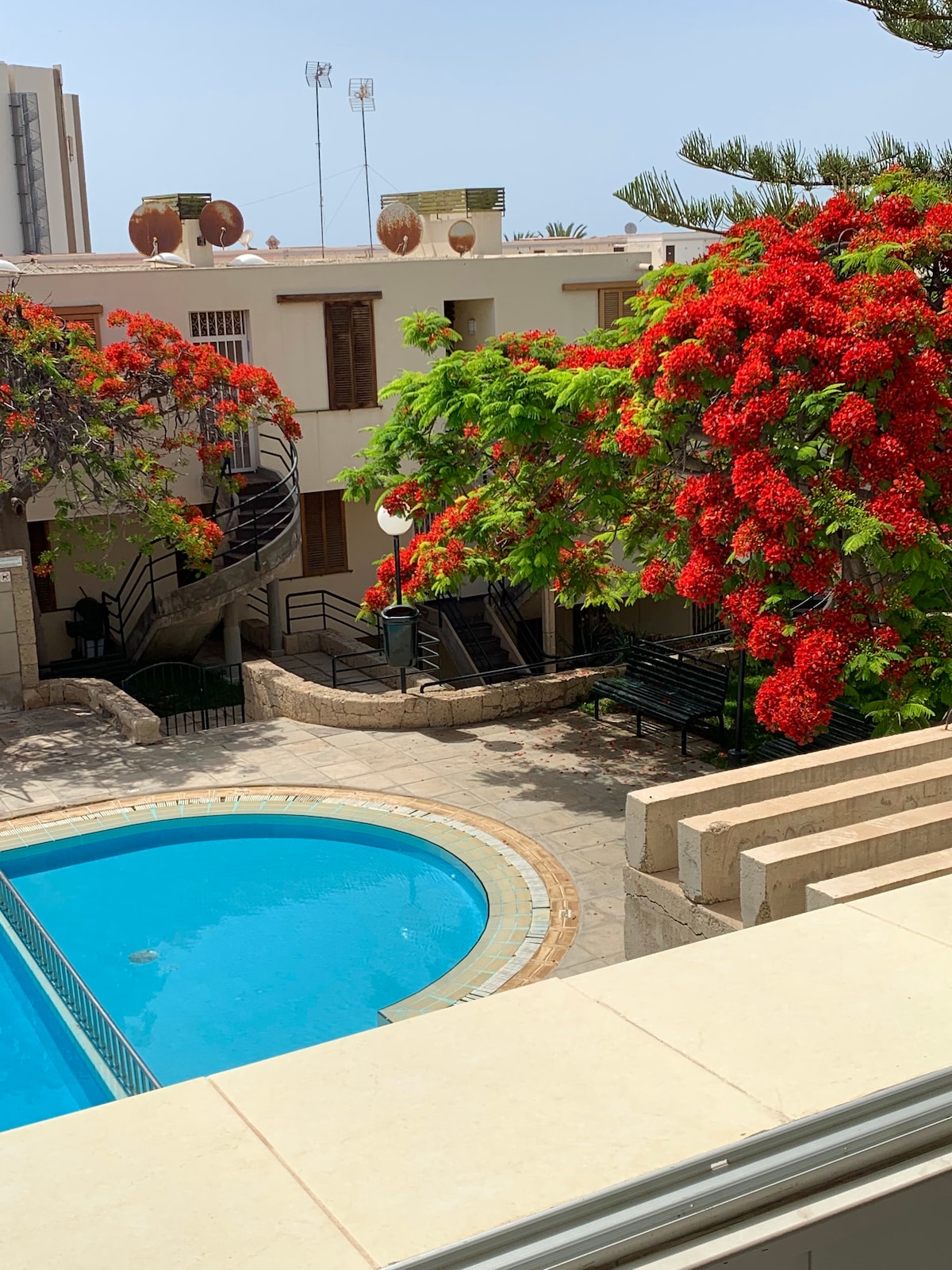 A view of the tranquil pool area is framed by vibrant red flowering trees. The pool is surrounded by a stone patio and leisure seating. A gentle spiral staircase leads to upper levels of the complex, blending with the lush garden landscape.