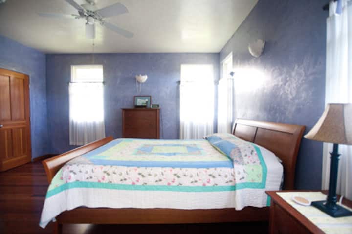 Walk in closet to the left of the master bedroom
