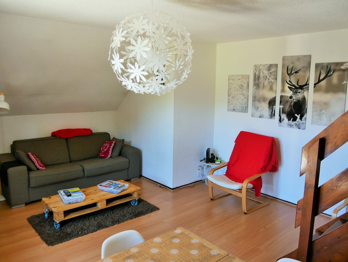 Beliebte Airbnb-Anzeige: Apartment in Villard-de-Lans, village, quiet in Villard De Lans