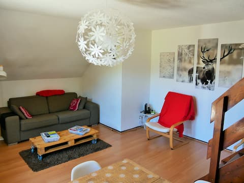 Popular Airbnb listing: Apartment in Villard-de-Lans, village, quiet in Villard De Lans