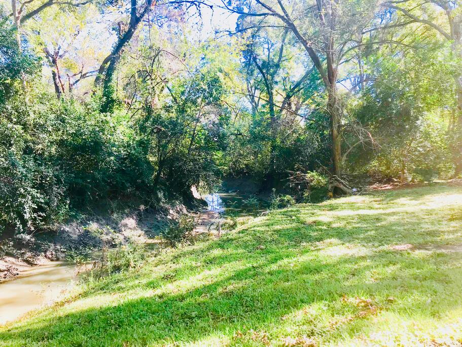 YOUR BACKYARD IS A LARGE CREEK AND FOREST!