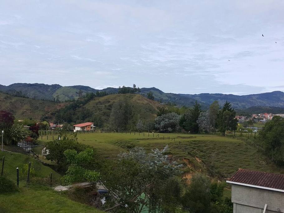 Vista desde la cabaña