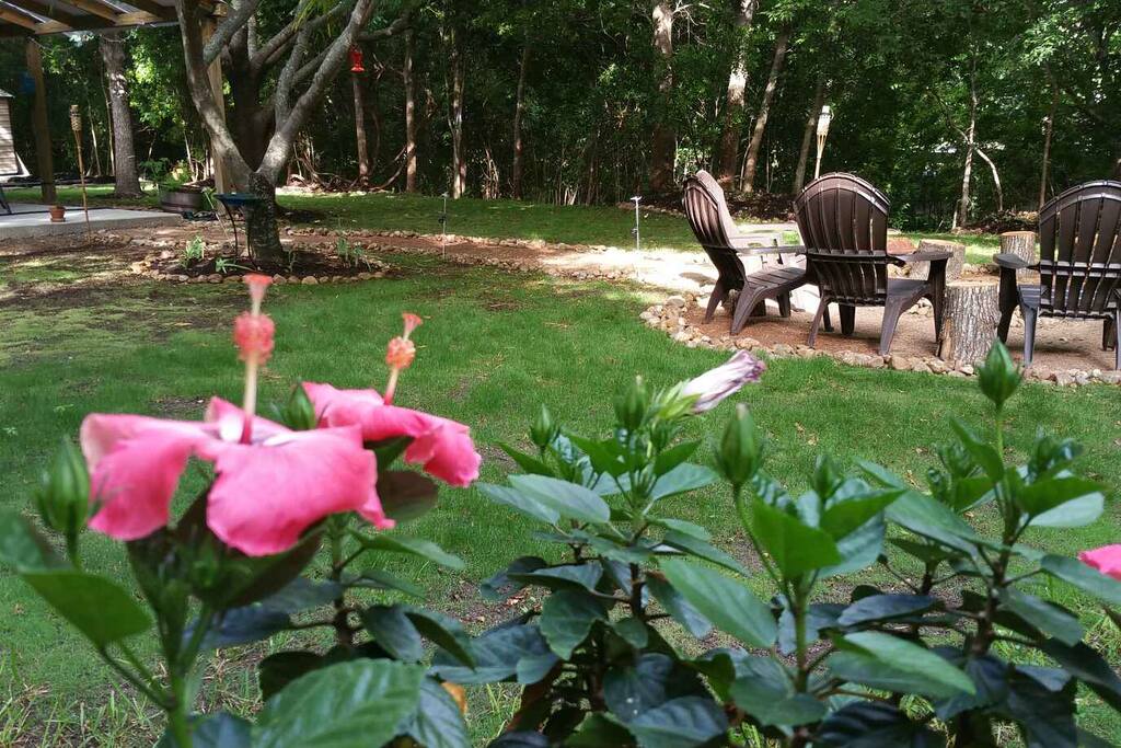Back Yard and Fire Pit