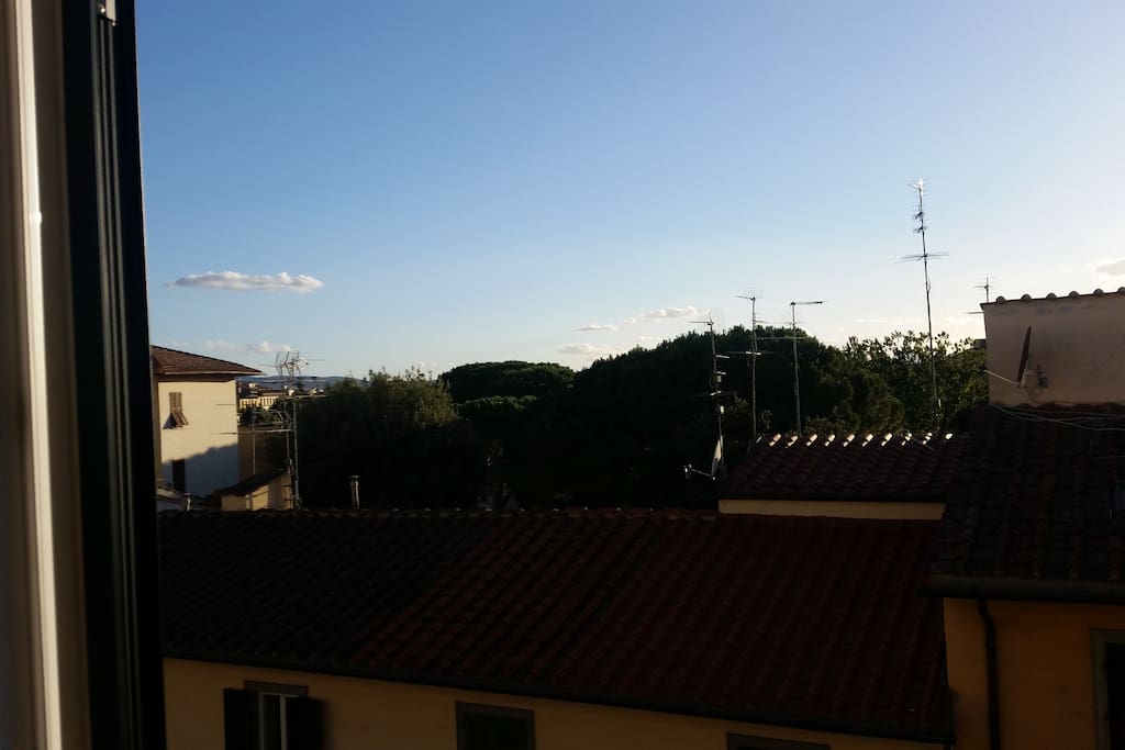 Window View