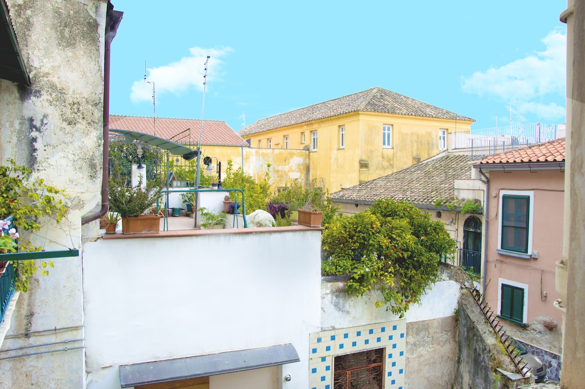 A view of a tranquil urban courtyard is captured, featuring residential buildings with varied architecture. Lush greenery and potted plants are seen on terraces, complemented by clear blue skies, enhancing the serene atmosphere of the surroundings.