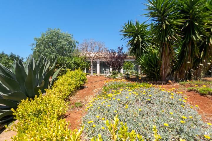 Villa Salentina tra gli ulivi a due passi dal mare gallery image 4