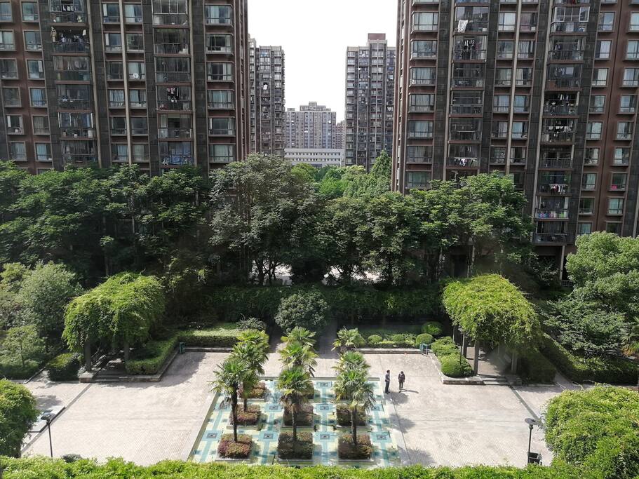 打开百叶窗看到的风景
