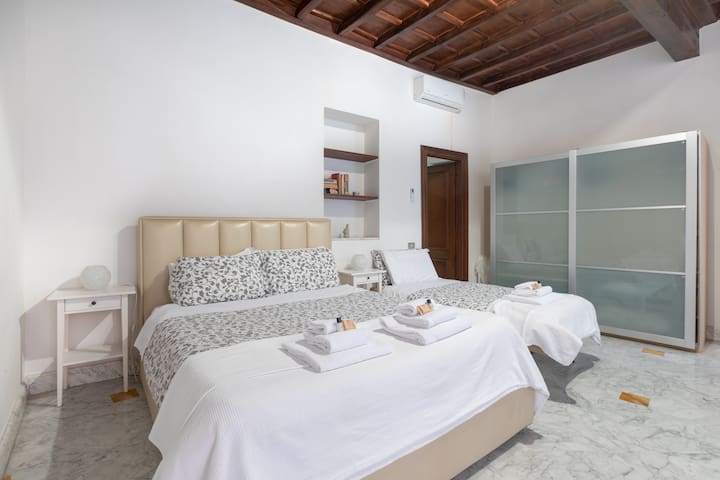 Large Apartment with terrace Near Spanish Steps