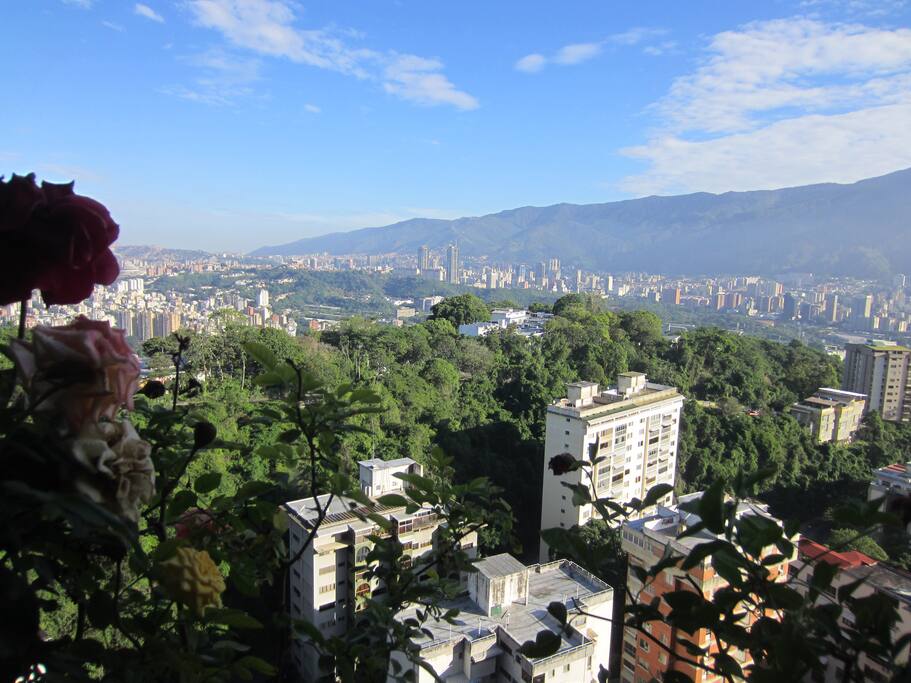 Aussicht aus dem Balkon, das Klima in Caracas immer sonnig, der blaue Himmel ist ein Muss