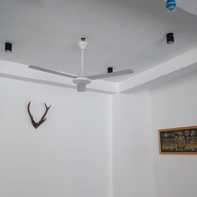 Every room got a fan