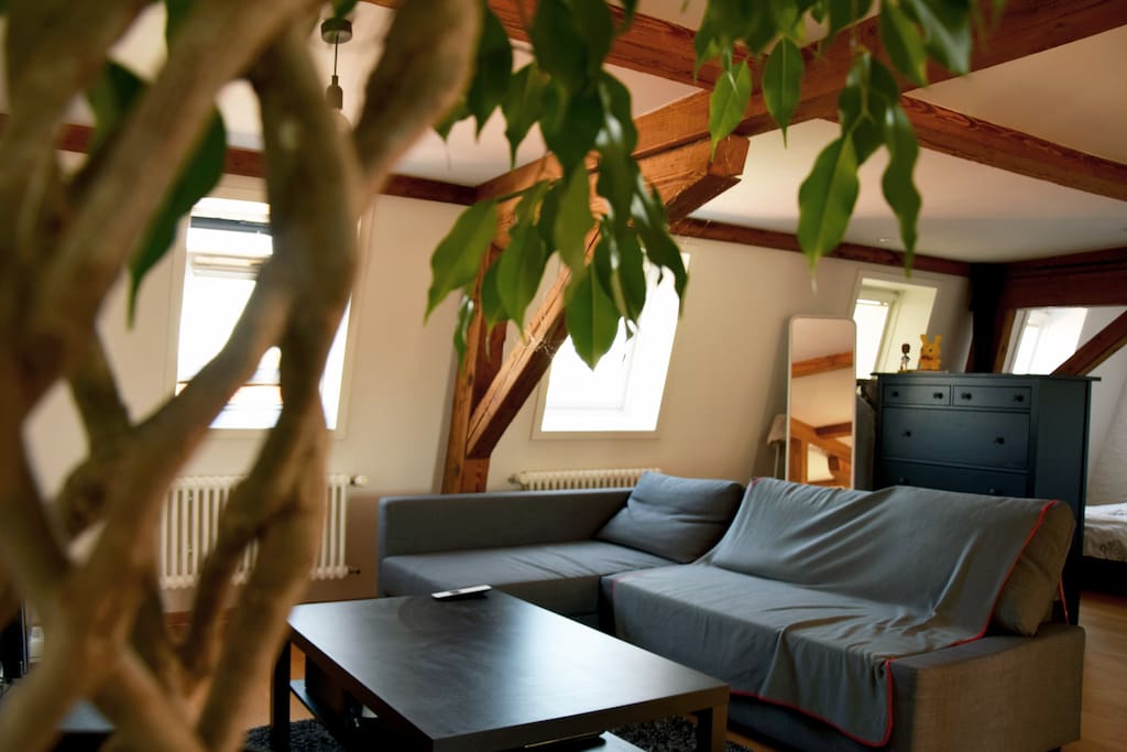 living room + sofa can be unfold