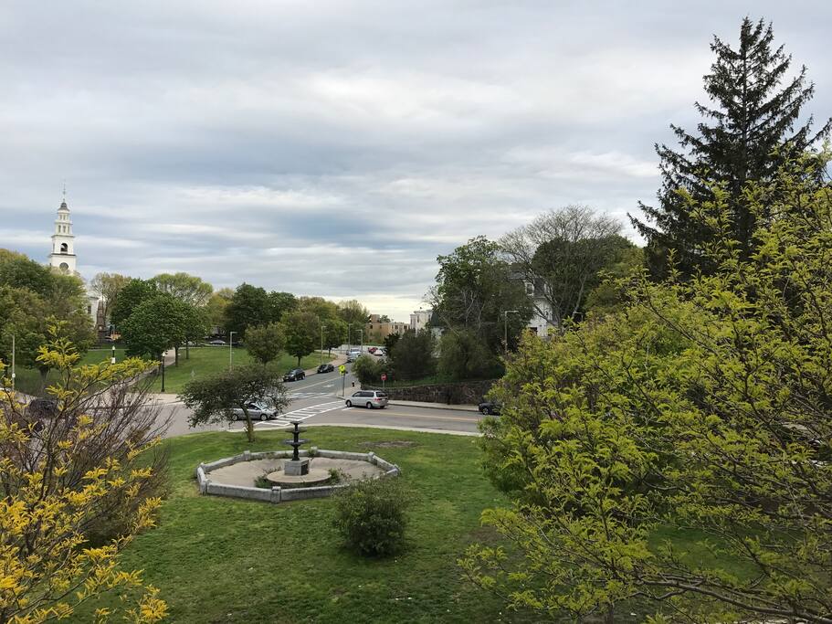 Beautiful park views in the front