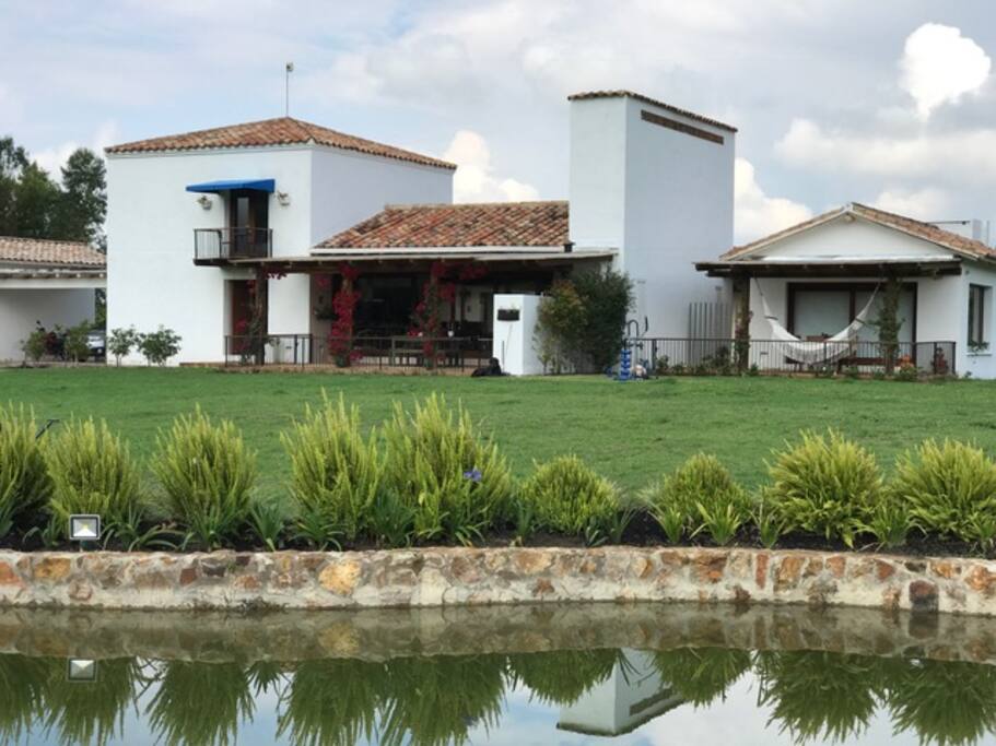 View from garden