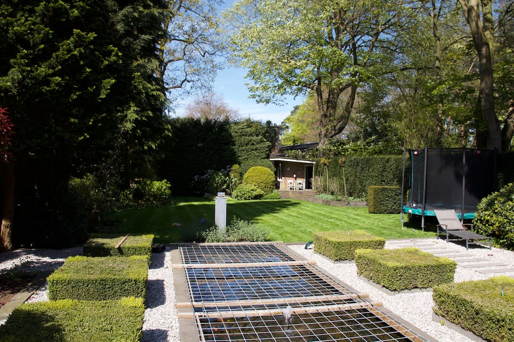 Garden with big pond