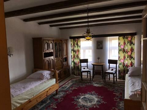 ViscriFacilitates Accommodation Raluca