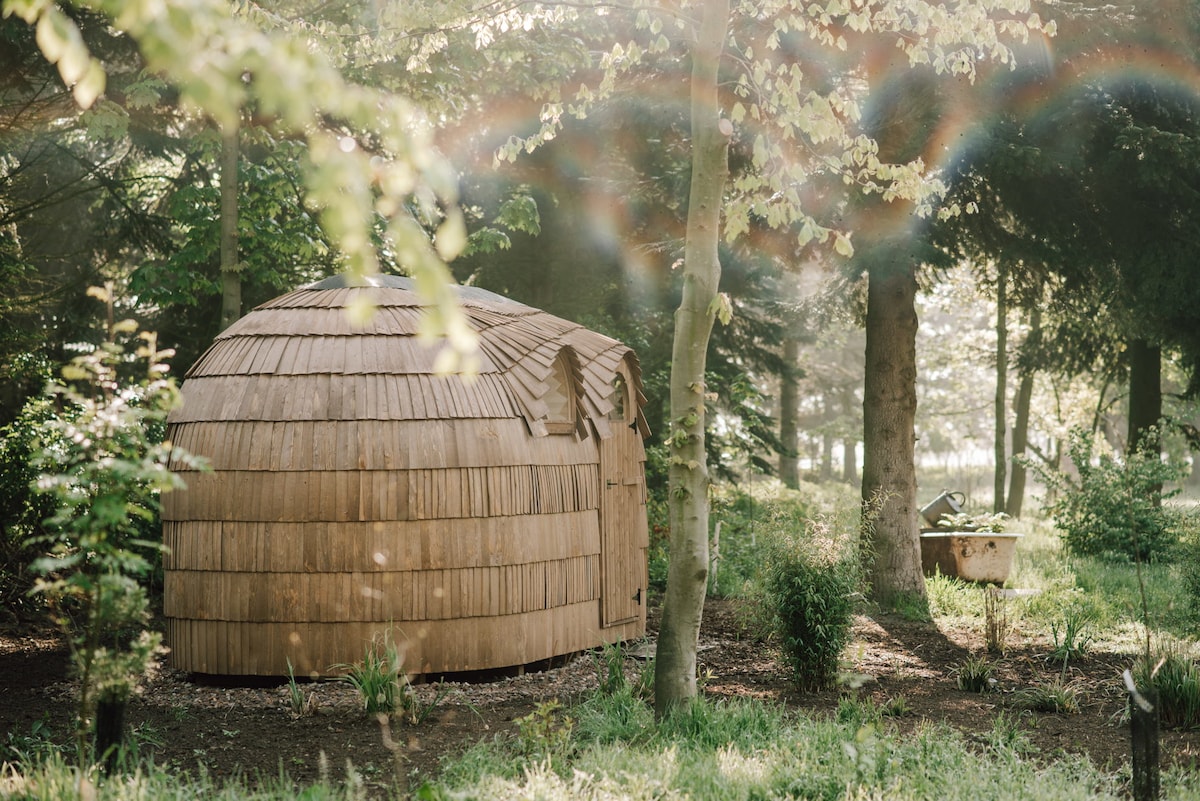 A uniquely designed structure made of natural materials is nestled among trees, surrounded by lush greenery. The rounded shape features a thatched roof and wooden door, blending seamlessly into the serene outdoor environment.