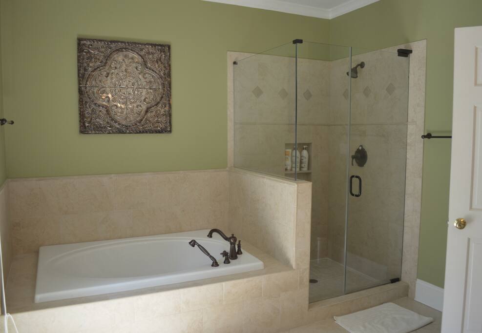Luxury master bathroom