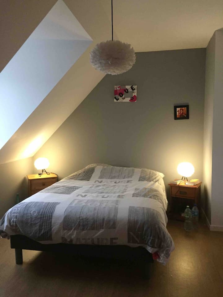 Sivi i ružičasti krevet u spavaćoj sobi 160