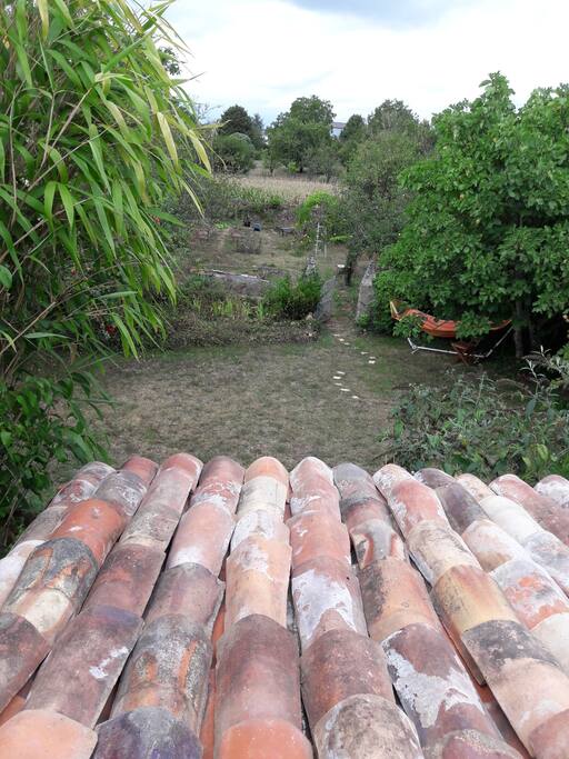 Vue du toit de la cuisine d'été