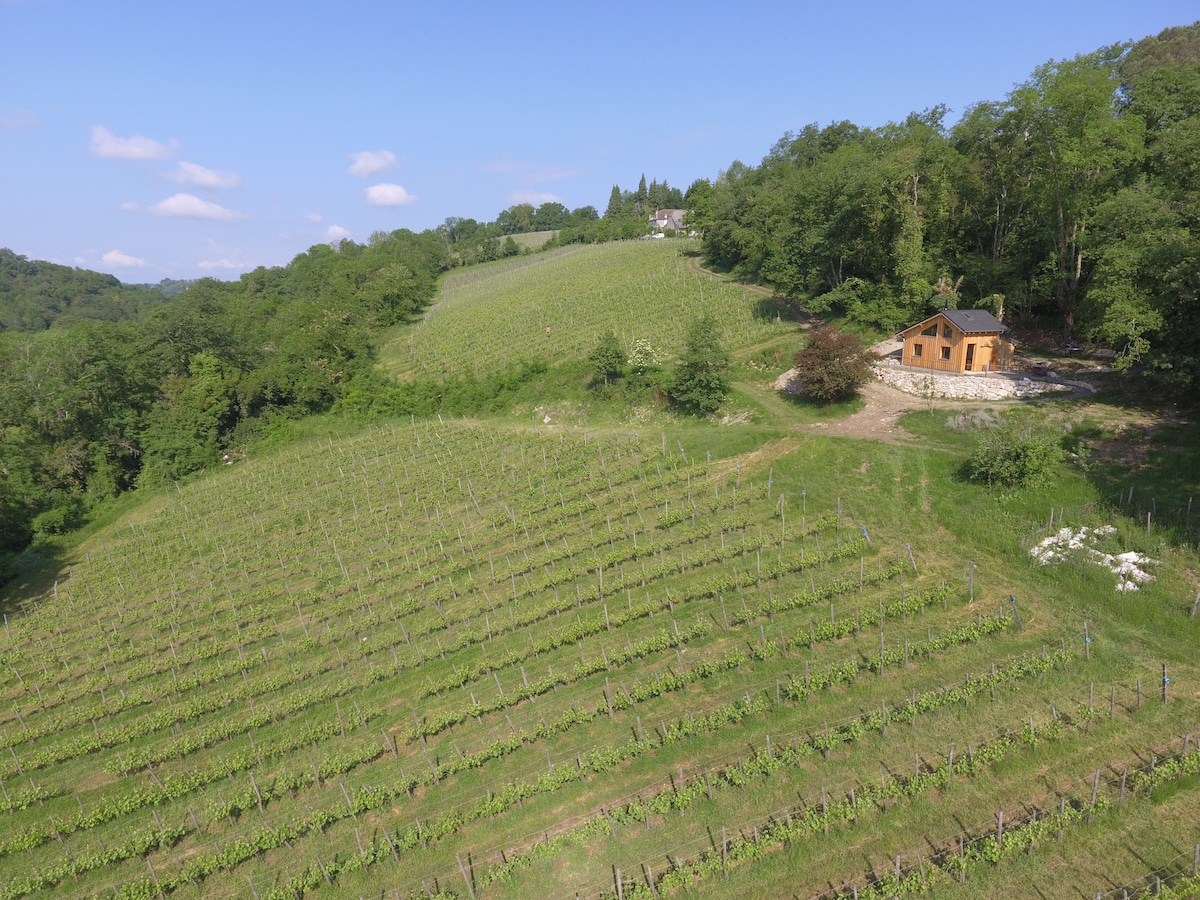 The image shows a hillside covered in rows of green grapevines, stretching downwards towards a cozy wooden cabin amidst the landscape. Lush trees surround the property, with a clear blue sky and scattered clouds enhancing the serene environment.