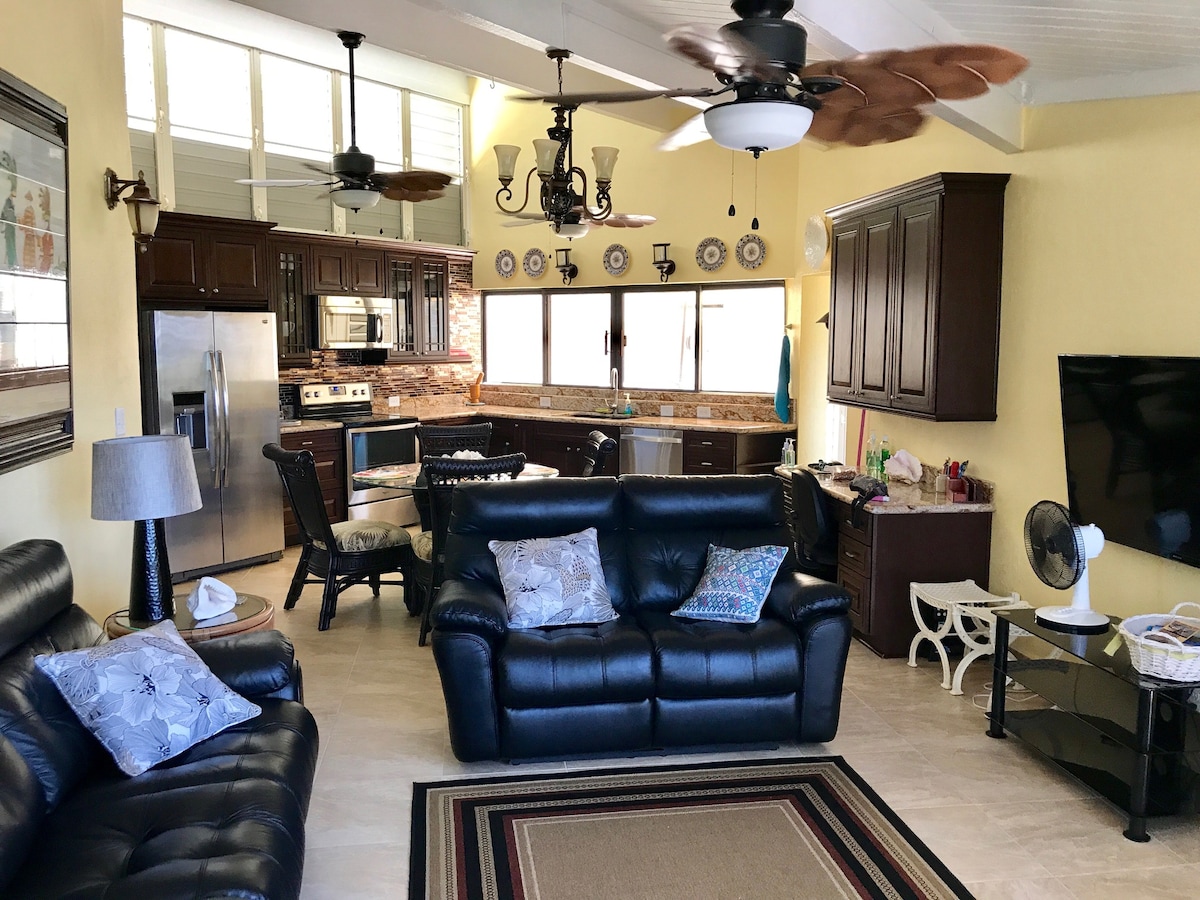 An open-plan living area features dark leather sofas, a decorative rug, and a modern kitchen with wooden cabinetry. The space is brightened by overhead fans and large windows, allowing for ample natural light to fill the room.
