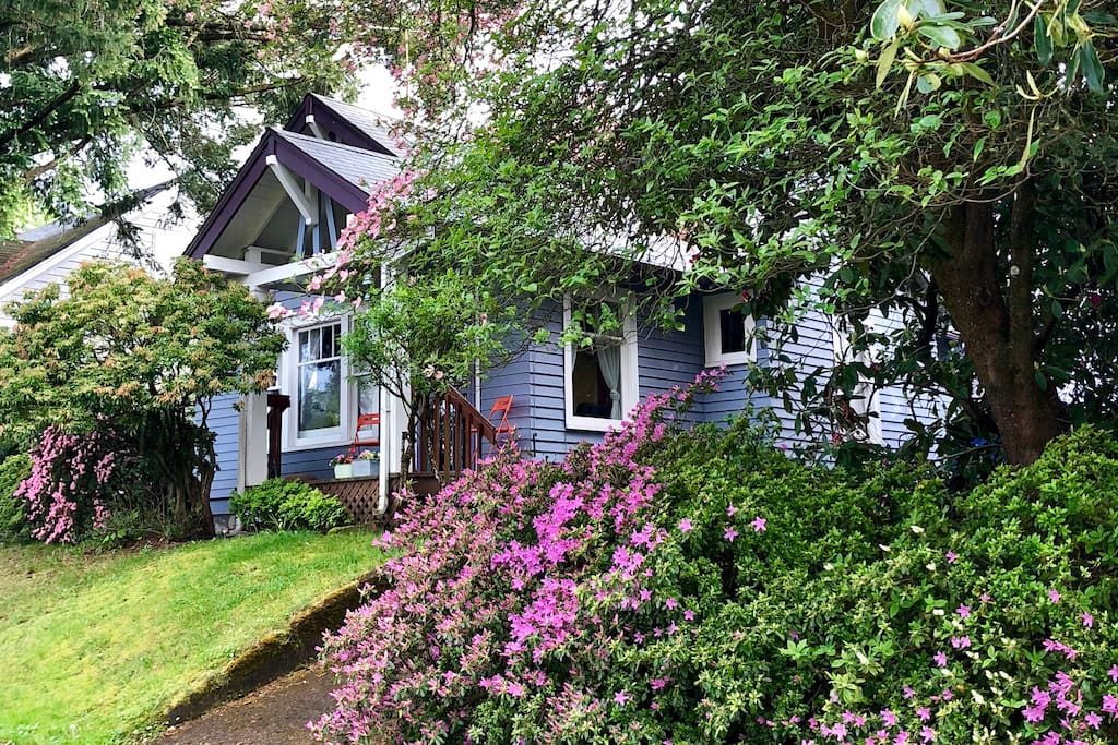 House through the Spring Blossoms.