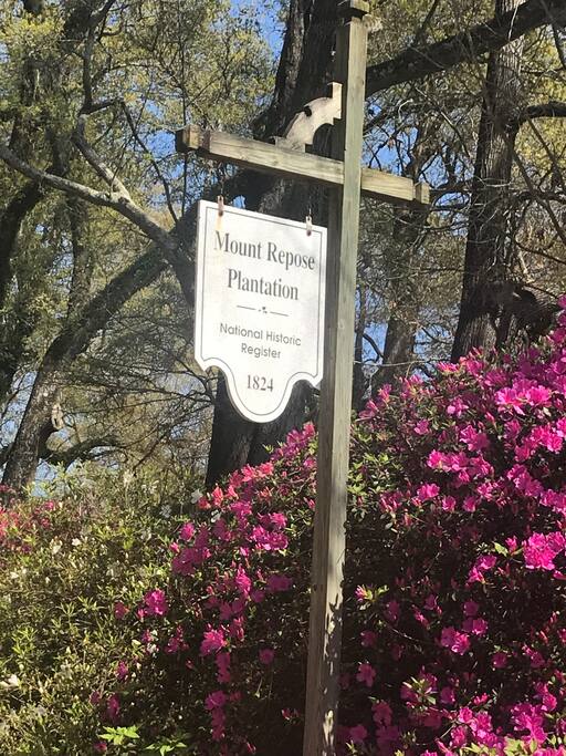 Mount Repose Plantation
