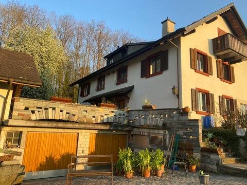 Basel Altstadt 19’public transport bus direct, 5 room house.