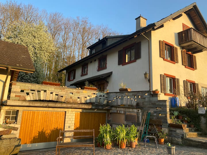 Basel Old Town 19’public transport bus direct, 5 room house. Houses