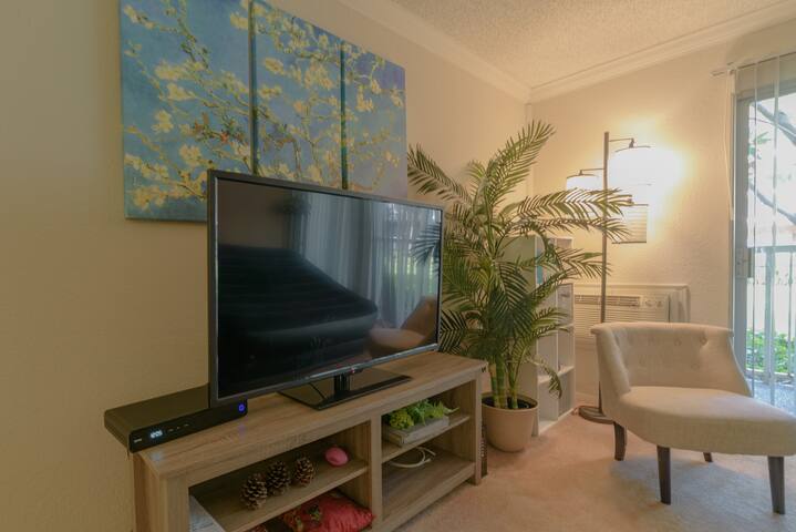 Pretty 1B Apt with Pool, Hottub in MV Downtown