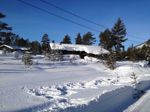 Cabin on Hovden - Otrosåsen
