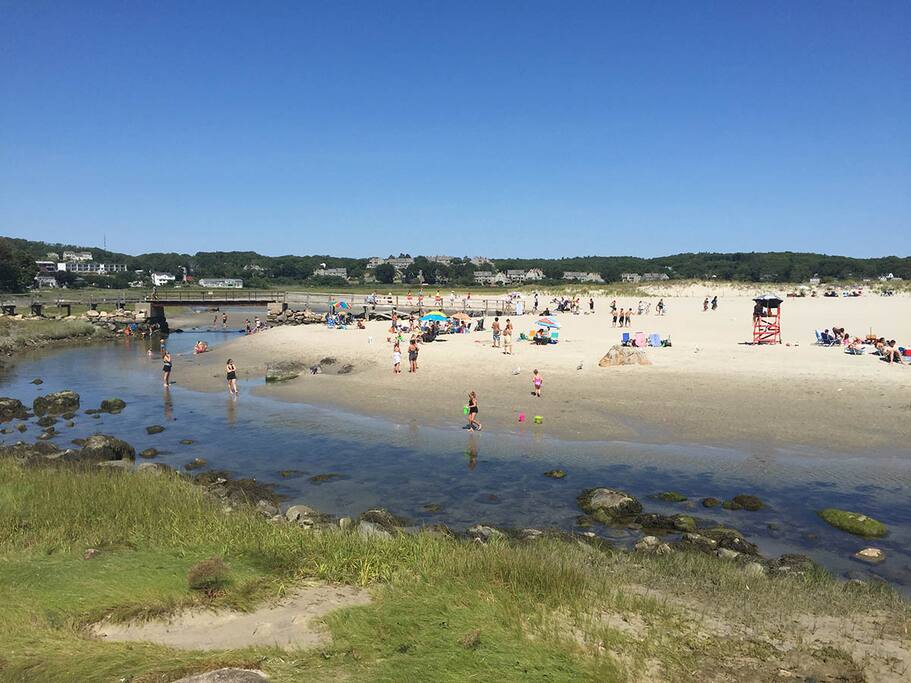 Two Beaches Cottage-Walk to Good Harbor Beach in 8 minutes.