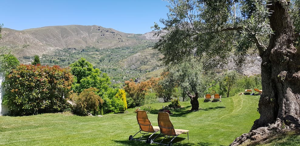 listing_image