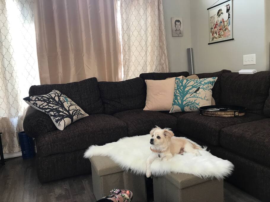 Living room with Olli