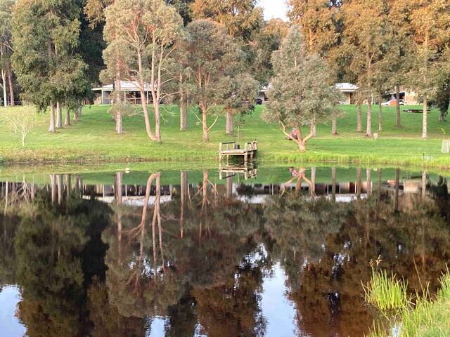 Relaxing rural property, 15 mins from Denmark gallery image 5