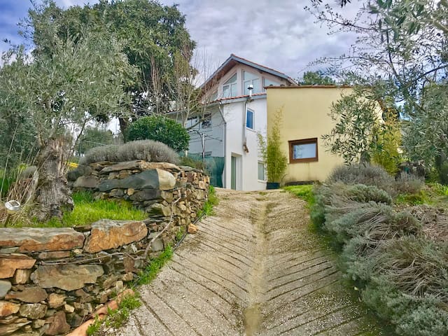 Villa contiguë 1 en duplex de 60m2 avec terrasse