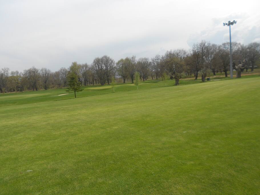 Campo de golf