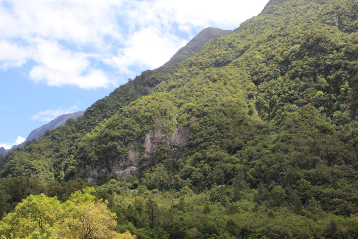 A lush green landscape is depicted, showcasing a mountainous area covered with dense foliage. Various shades of green from the trees blend harmoniously against a backdrop of sky and clouds, creating a serene natural setting.