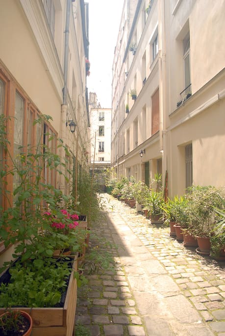 Notre jolie cour pavée