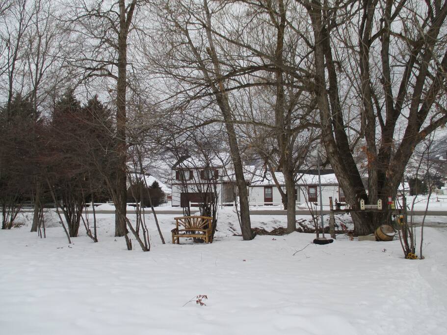 Front yard showing the trees and the stream